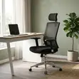 Orthopedic Office Chair with Lumbar Support - 4