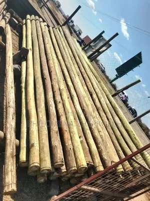 Miti ya Umeme Iliyotibiwa na Nguzo za Fencing
