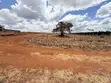 Vitia vya Kukodisha kwa Mauzo Ruiru - 3