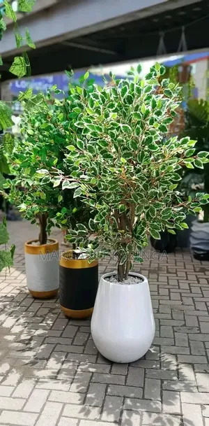 Jumbo Artificial House Plants with Vases