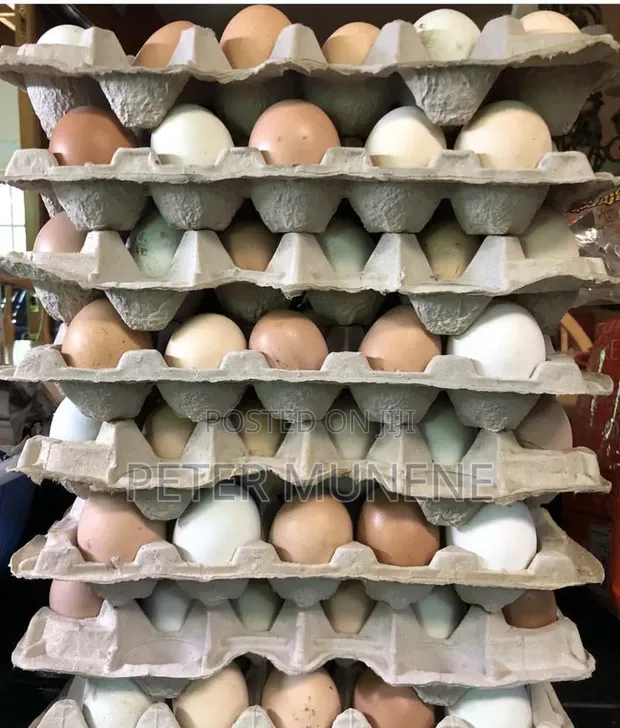 Kienyeji Eggs and Chickens - 1