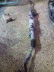 Toyota Mark X Steering Rack (Iliyo tumika) - 3
