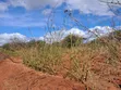 Embu County Mariari 10 Acres Agricultural Farmland - 4