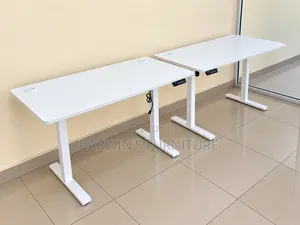 White Adjustable Electric Standing Desk