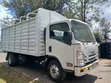 Isuzu NQR Truck 2021 - 2
