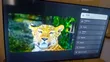TCL P735 4K UHD Google TV - 3
