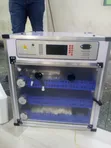 204 Egg Incubator - Automatic - 2