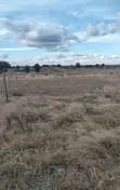 50x100 Plot for Sale in Isinya - 1