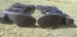 Viatu vya Aldo vya Mid-Calf Slouch - Ngozi Nyeusi Saizi 40 - 4