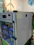 204 Egg Incubator - 2