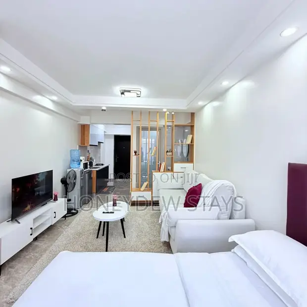Executive Furnished Studio Apartment for Short Let in Kilimani - 1