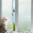 Designer Aesthetic Window Films - 2
