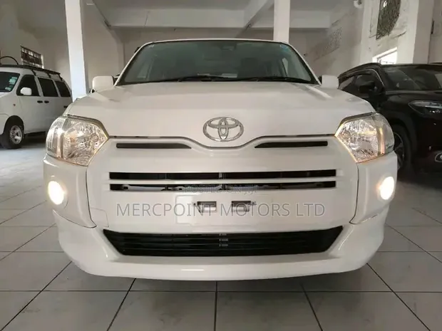 Toyota Probox 2019 - Rangi ya Loti - 1