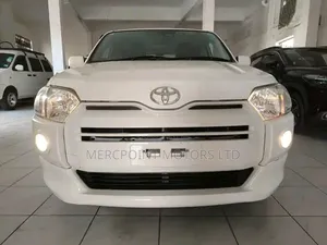 Toyota Probox 2019 - Rangi ya Loti
