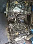 Nissan NV350 YD25 Injini Kamili - 3