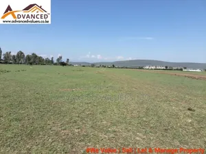 Viwanja Bora vya Biashara na Makazi, Kaunti ya Nakuru
