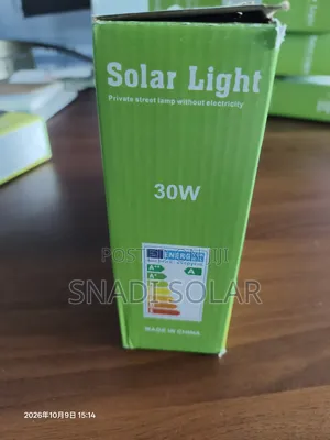 30W Solar Light yenye Remote Control