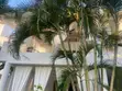Furnished 3-Bedroom Duplex in Amani Resort, Watamu for Sale - 3