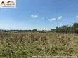 Prime 3-Acre Commercial Land for Sale, Ngata, Nakuru - 2