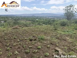 Two Acre Land for Sale in Kelelwet, Nakuru County