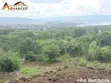 Two Acre Land for Sale in Kelelwet, Nakuru County - 3