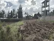 Residential Eighth Acre Plot for Sale in Ongata Rongai, Kandisi - 4