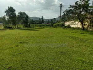 Half Acre Plot for Sale in Kisumu Along Kisumu-Busia Road