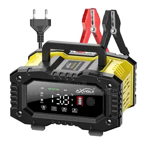 Foxsur Heavy Duty 10A Universal Battery Charger (12V/24V)