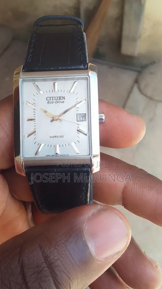 Citizen Eco-Drive Watch - 1