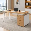 1.2m Modern Home Work Desk - 4