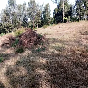 Residential Plot for Sale in Ruaka Njoro