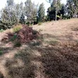 Residential Plot for Sale in Ruaka Njoro - 1