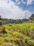 Residential Plot for Sale in Ruaka Njoro - 4
