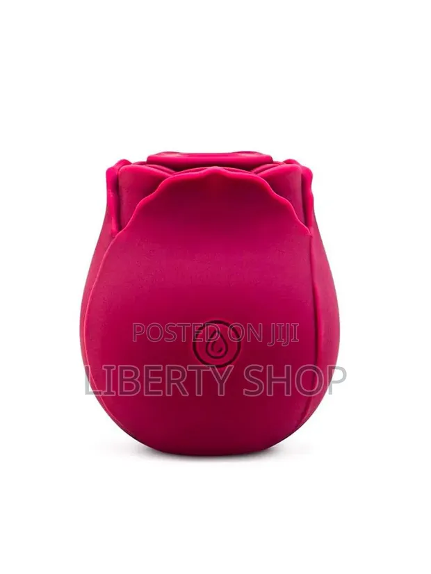 Rose Toy Vibrator - Compact Adult Wellness Massager - 1