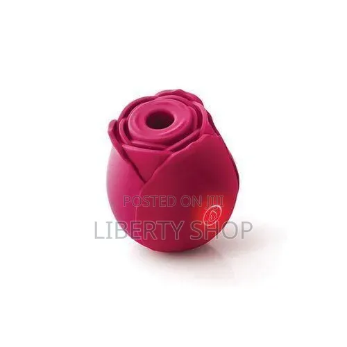Portable Rose Intimate Massager - 1