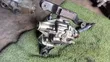 Mitsubishi Pajero Mini Differential - 5