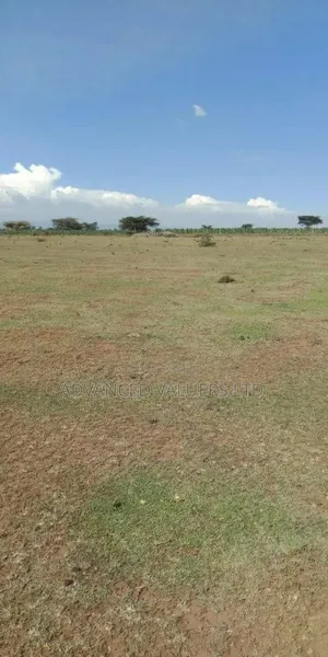 Plot kwa Ajili ya Kuuzwa Rongai, Nakuru