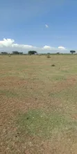 Plot for Sale in Rongai, Nakuru - 1