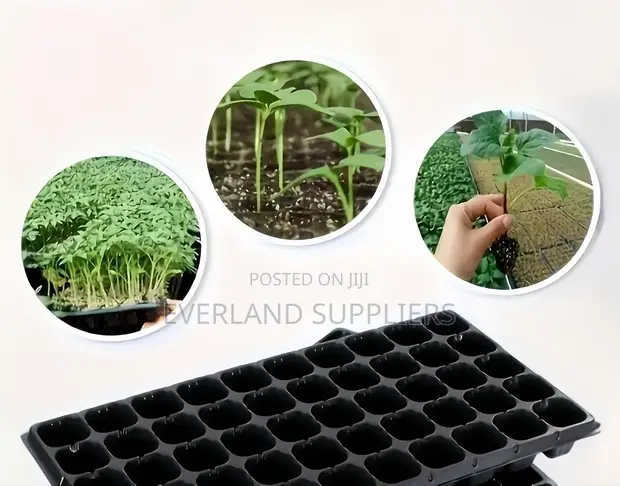 Simple Seed Planting Tray - 1