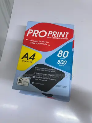 Pro Print 80gsm A4 Karatasi ya Printer (500 Sheets)