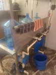 Premier 3-Tap Water Refilling Station - 3