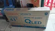 Vitron 43" Whale QLED TV - 1