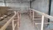 Professional Building Construction Services - 4