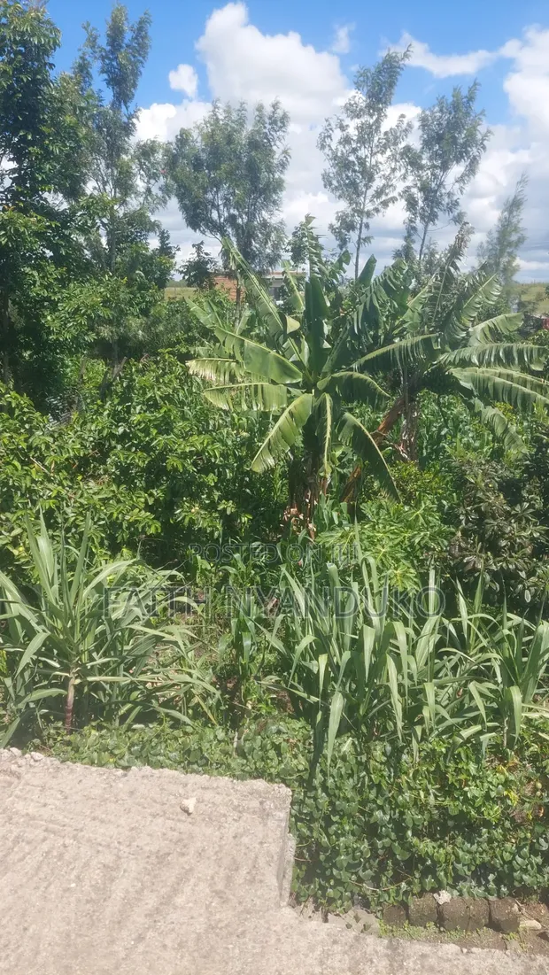 1/8th Residential Plot for Sale - Rangau - 1