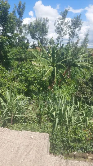 1/8th Residential Plot for Sale - Rangau