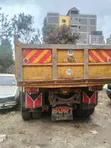 Isuzu F Series Tipper - Distress Sale - 2
