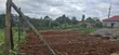 Half Acre Commercial Plot for Sale on Kirawa Road, Gathiga - 5