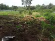 Eneo Zuri la Eka Moja la Makazi Karen - 3