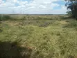 4 Acre Land for Sale in Kiserian - 2