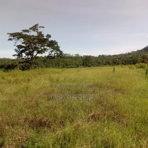 5 Acres Commercial Land for Sale in Syokimau, Mwananchi Rd - 1